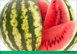 老瓜种怎么吃才好吃视频,视频揭秘美味老瓜的烹饪秘诀