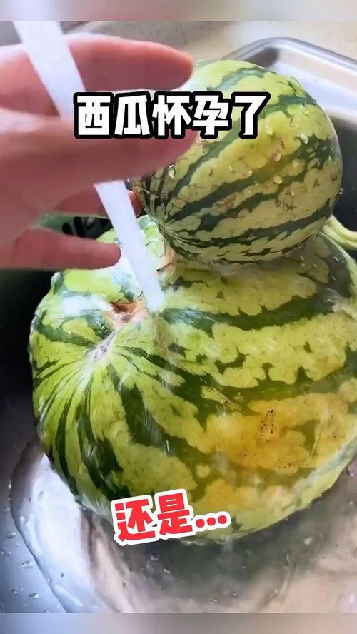 带着吃瓜搞笑大风的视频,一起领略欢乐盛宴