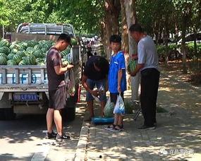 福建平潭吃瓜群众事件视频,一场网络舆论的风波与反思