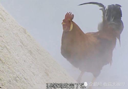 遇见神鹿吃瓜视频,揭秘吃瓜视频背后的神秘事件