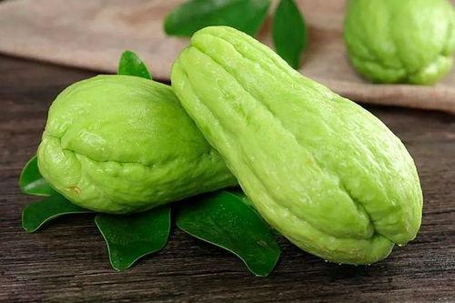 羊奶瓜能做菜吃吗视频讲解,视频揭秘其美味烹饪方法