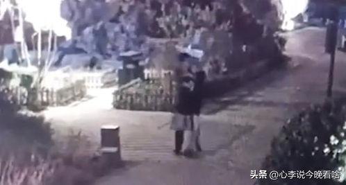 泰州吃瓜事件真相视频,真相视频还原惊人内幕