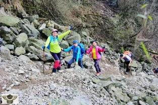 成都徒步吃瓜事件视频,街头奇观引发网友热议